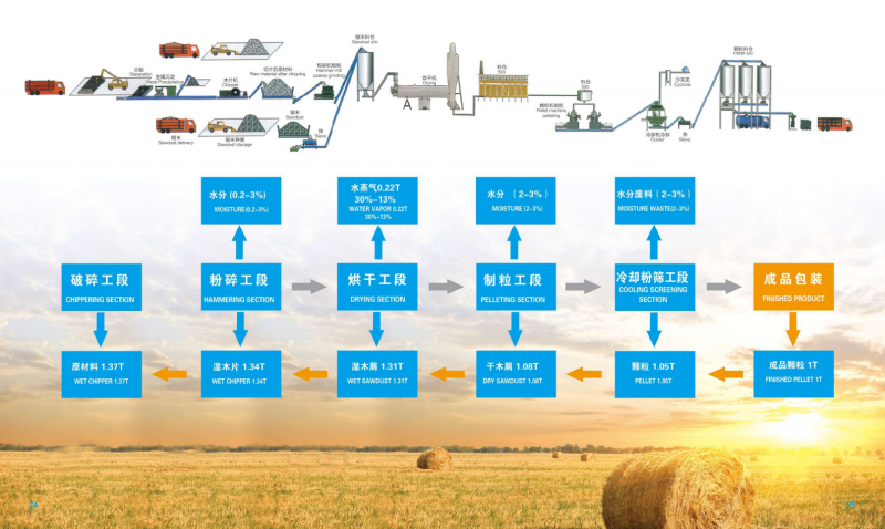 熊猫体育宣传册_13 - 副本.png